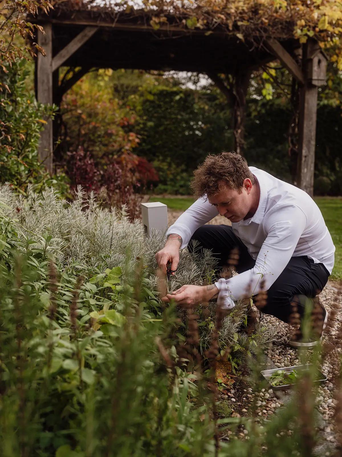 Koen knipt kruiden in de tuin