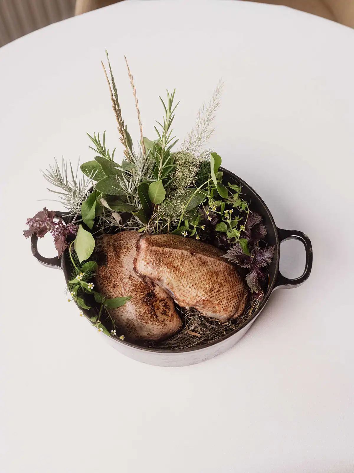 Productfoto van eend
